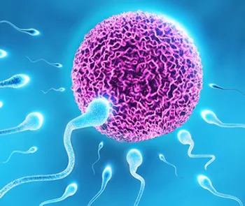 Hovedbilde Fertilitet